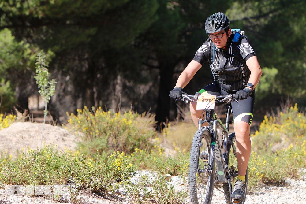 Ruta de las Encinas 2017. Galería 4