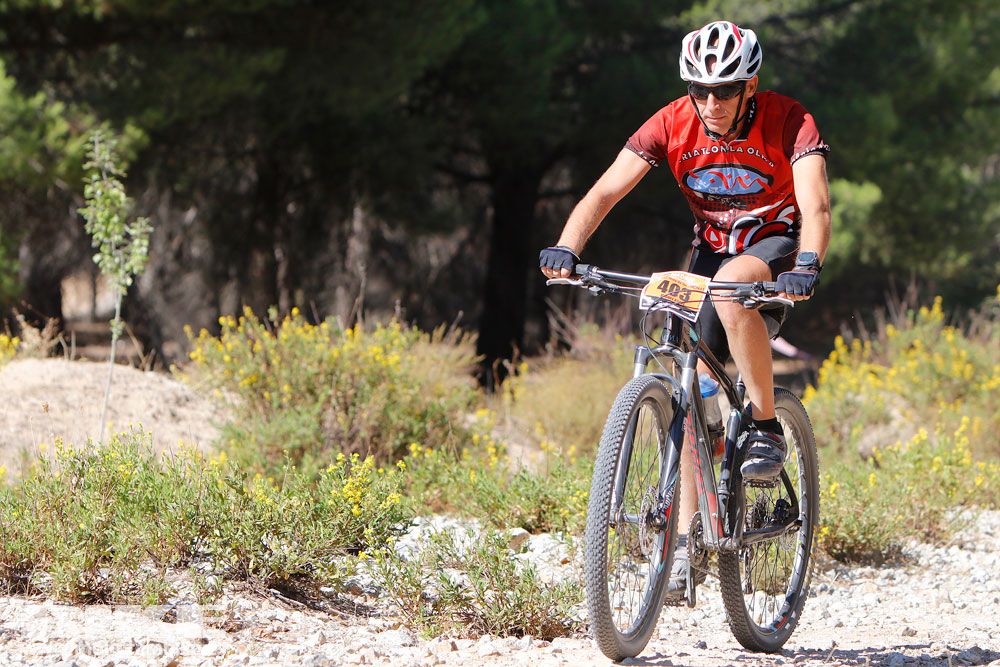 Ruta de las Encinas 2017. Galería 4