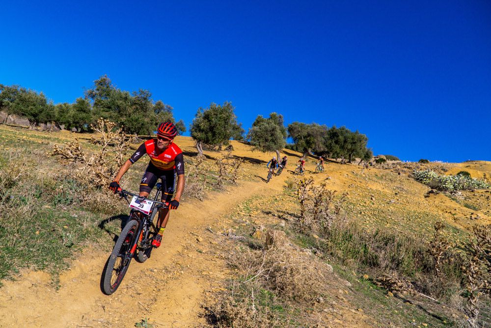 Pongo Race 2017. Sevilla
