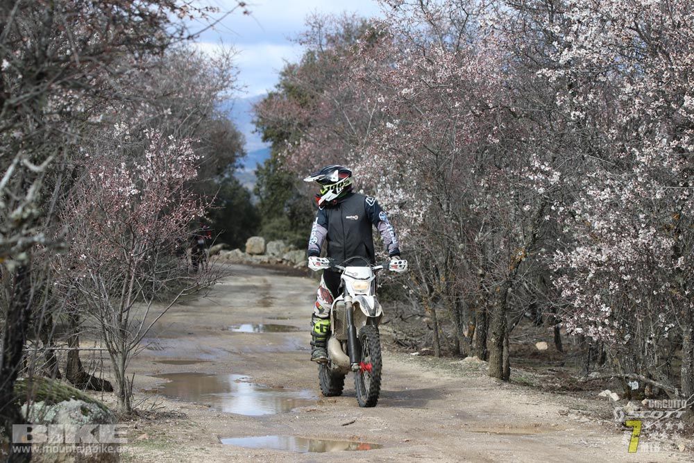 Ruta de la miel. Colmenarejo. Circuito Scott 7 Estrellas 2018. Galería 1