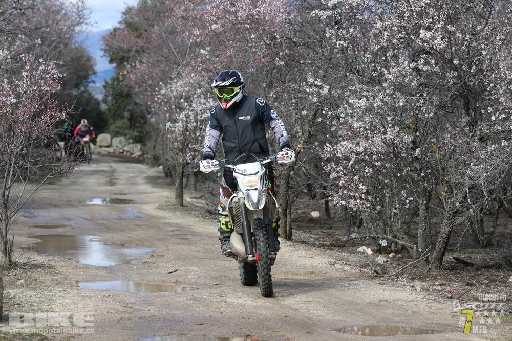 Ruta de la miel. Colmenarejo. Circuito Scott 7 Estrellas 2018. Galería 1