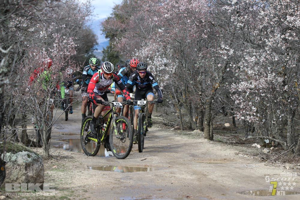 Ruta de la miel. Colmenarejo. Circuito Scott 7 Estrellas 2018. Galería 1