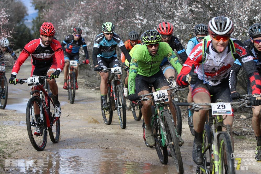 Ruta de la miel. Colmenarejo. Circuito Scott 7 Estrellas 2018. Galería 1