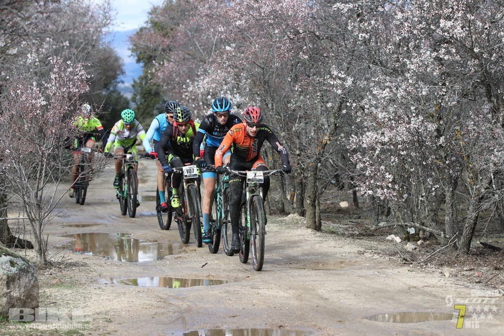 Ruta de la miel. Colmenarejo. Circuito Scott 7 Estrellas 2018. Galería 1