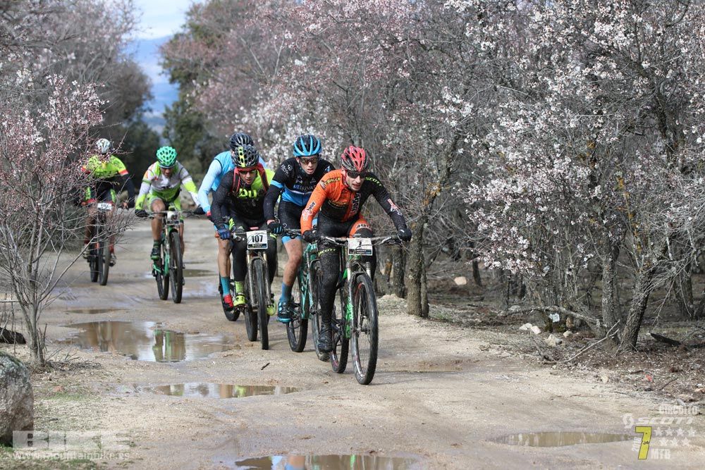 Ruta de la miel. Colmenarejo. Circuito Scott 7 Estrellas 2018. Galería 1