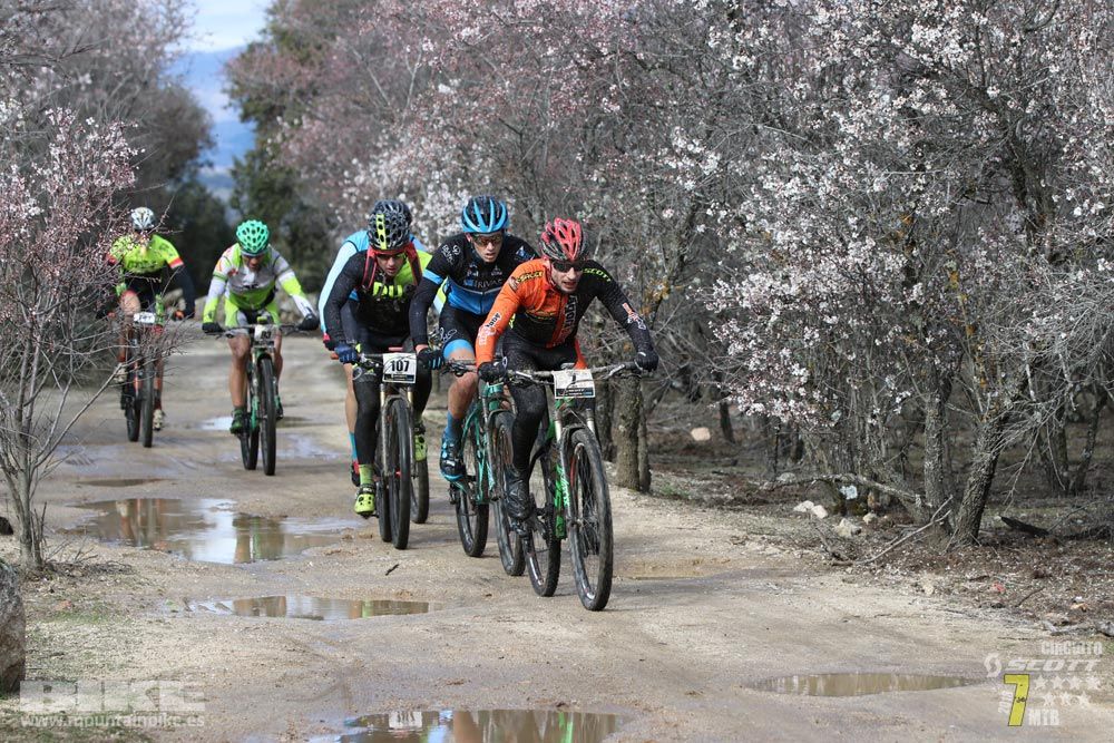Ruta de la miel. Colmenarejo. Circuito Scott 7 Estrellas 2018. Galería 1