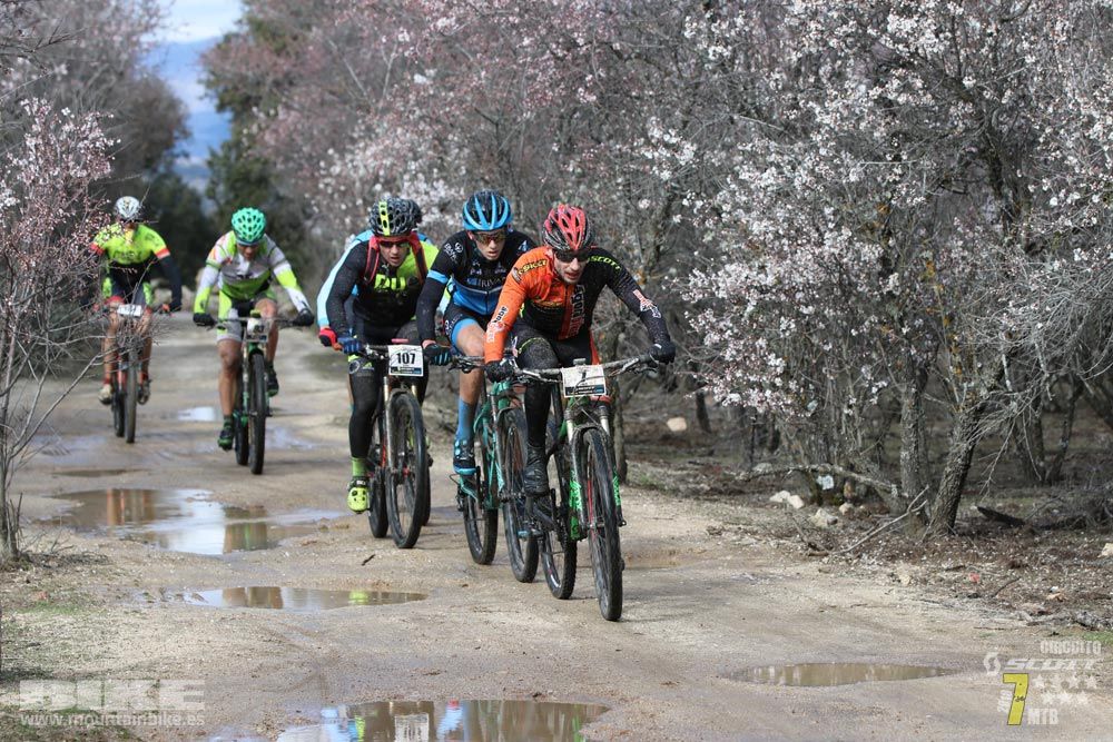Ruta de la miel. Colmenarejo. Circuito Scott 7 Estrellas 2018. Galería 1