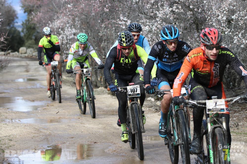 Ruta de la miel. Colmenarejo. Circuito Scott 7 Estrellas 2018. Galería 1