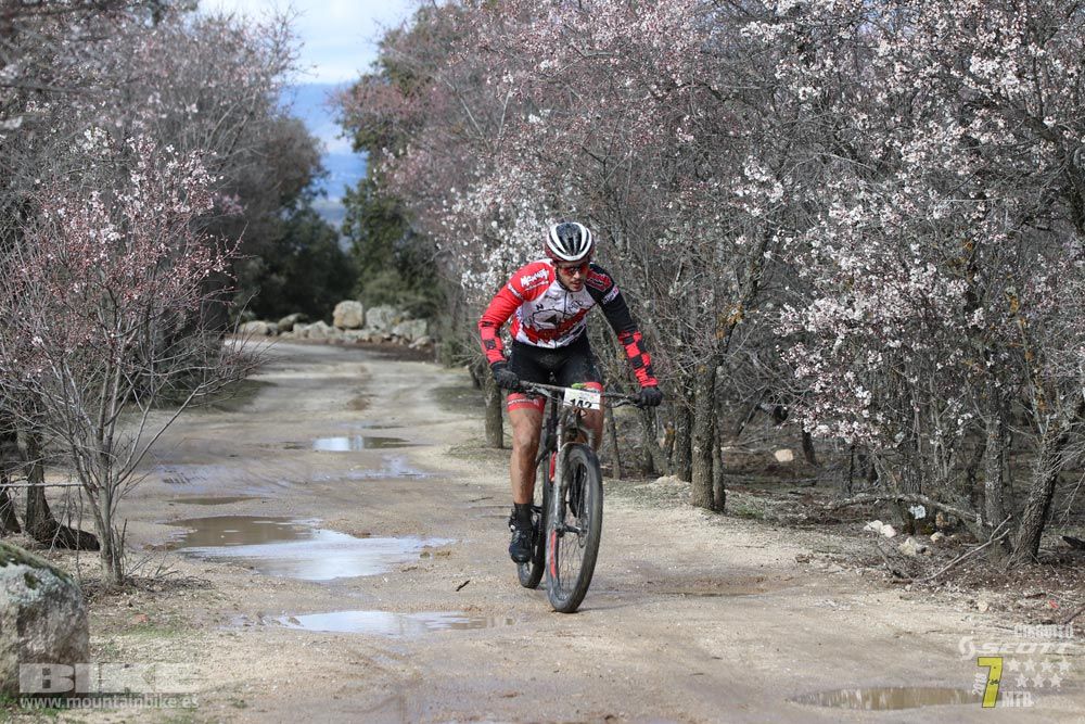 Ruta de la miel. Colmenarejo. Circuito Scott 7 Estrellas 2018. Galería 1