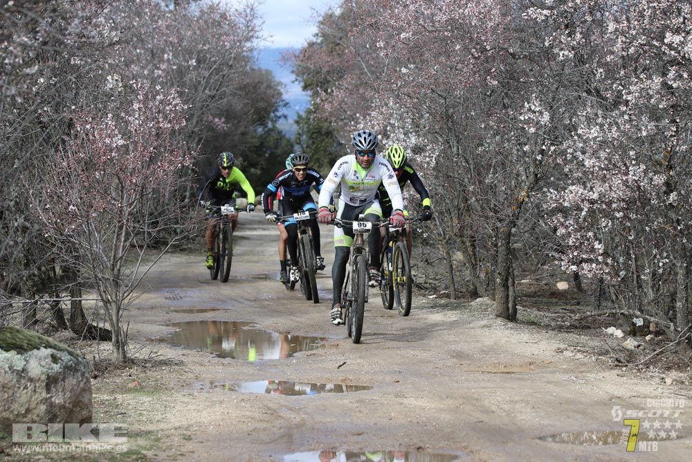 Ruta de la miel. Colmenarejo. Circuito Scott 7 Estrellas 2018. Galería 1