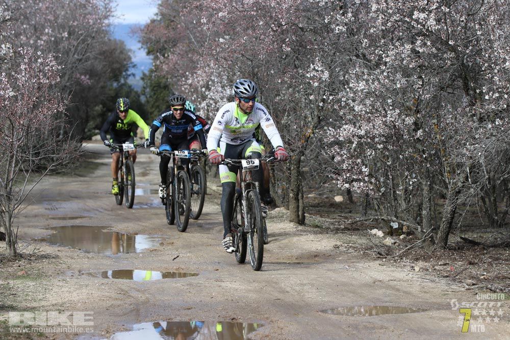 Ruta de la miel. Colmenarejo. Circuito Scott 7 Estrellas 2018. Galería 1