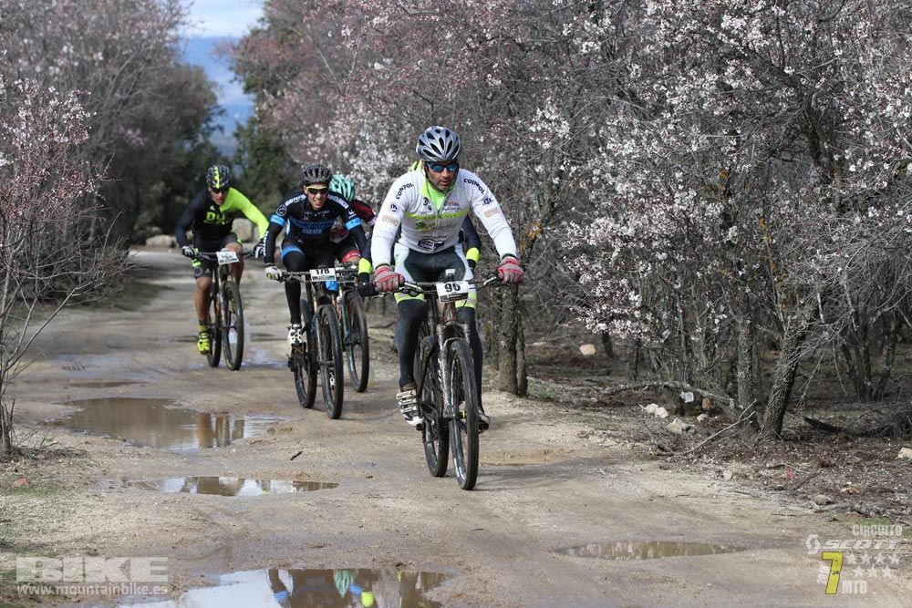 Ruta de la miel. Colmenarejo. Circuito Scott 7 Estrellas 2018. Galería 1
