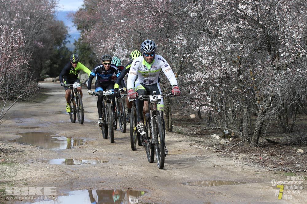 Ruta de la miel. Colmenarejo. Circuito Scott 7 Estrellas 2018. Galería 1