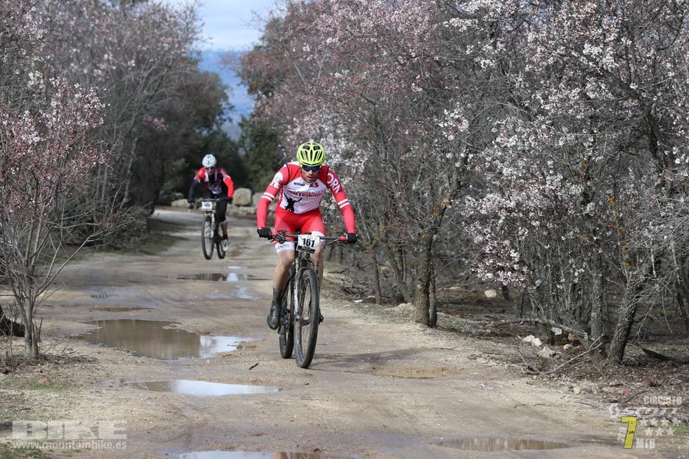 Ruta de la miel. Colmenarejo. Circuito Scott 7 Estrellas 2018. Galería 1