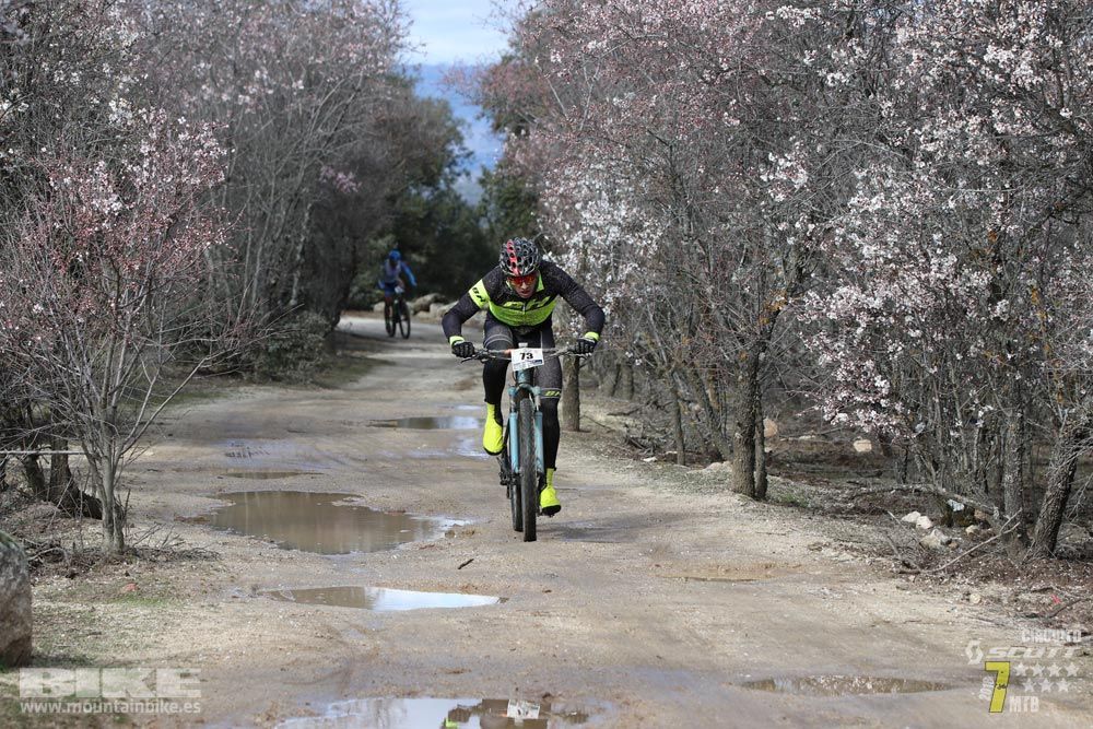 Ruta de la miel. Colmenarejo. Circuito Scott 7 Estrellas 2018. Galería 1