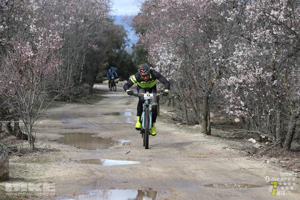 Ruta de la miel. Colmenarejo. Circuito Scott 7 Estrellas 2018. Galería 1