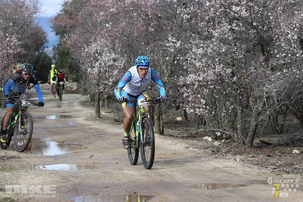 Ruta de la miel. Colmenarejo. Circuito Scott 7 Estrellas 2018. Galería 1