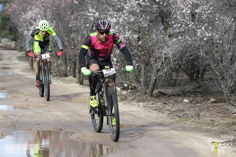 Ruta de la miel. Colmenarejo. Circuito Scott 7 Estrellas 2018. Galería 1