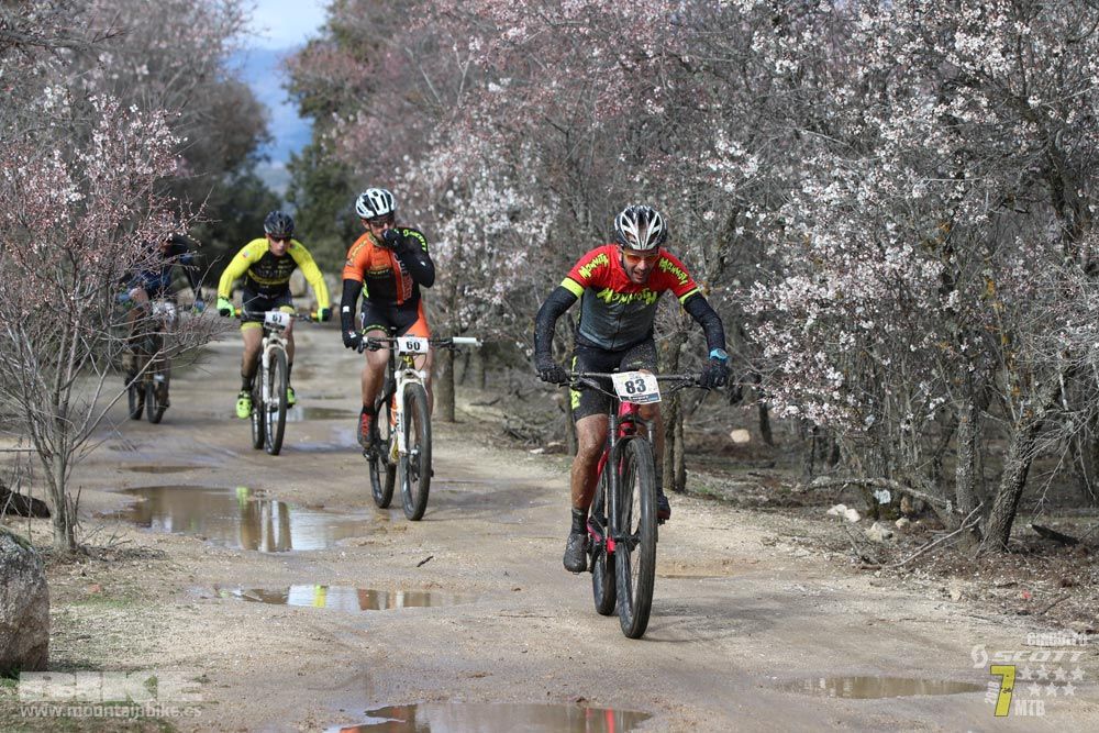 Ruta de la miel. Colmenarejo. Circuito Scott 7 Estrellas 2018. Galería 1