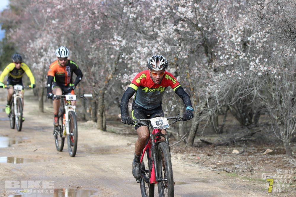 Ruta de la miel. Colmenarejo. Circuito Scott 7 Estrellas 2018. Galería 1