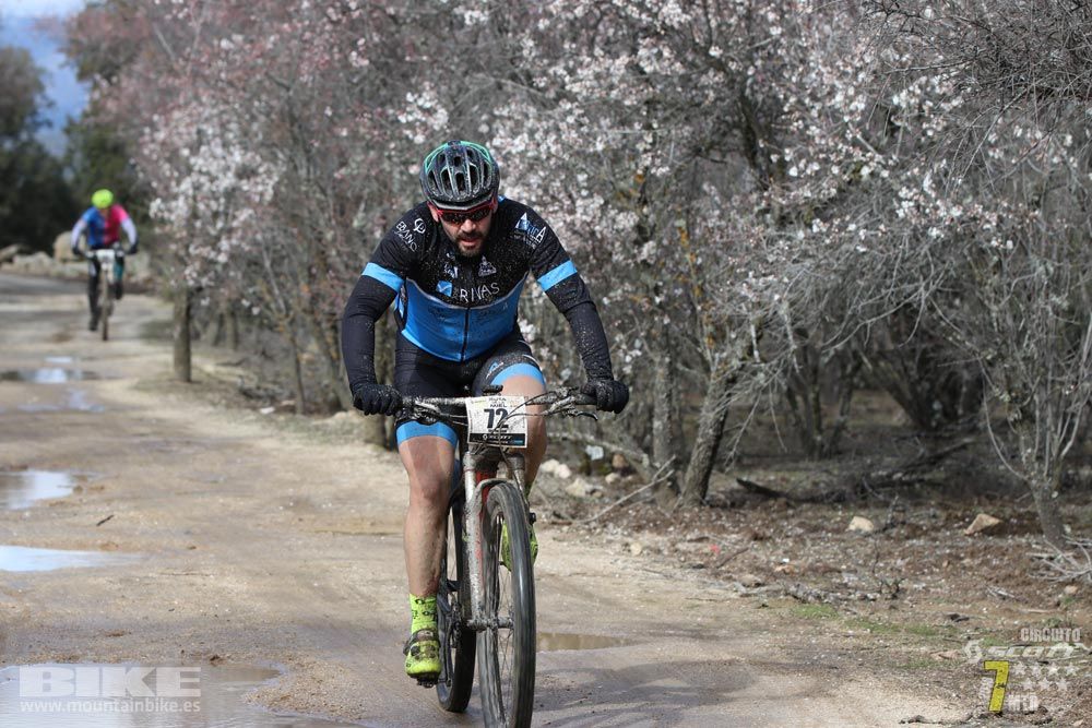Ruta de la miel. Colmenarejo. Circuito Scott 7 Estrellas 2018. Galería 1