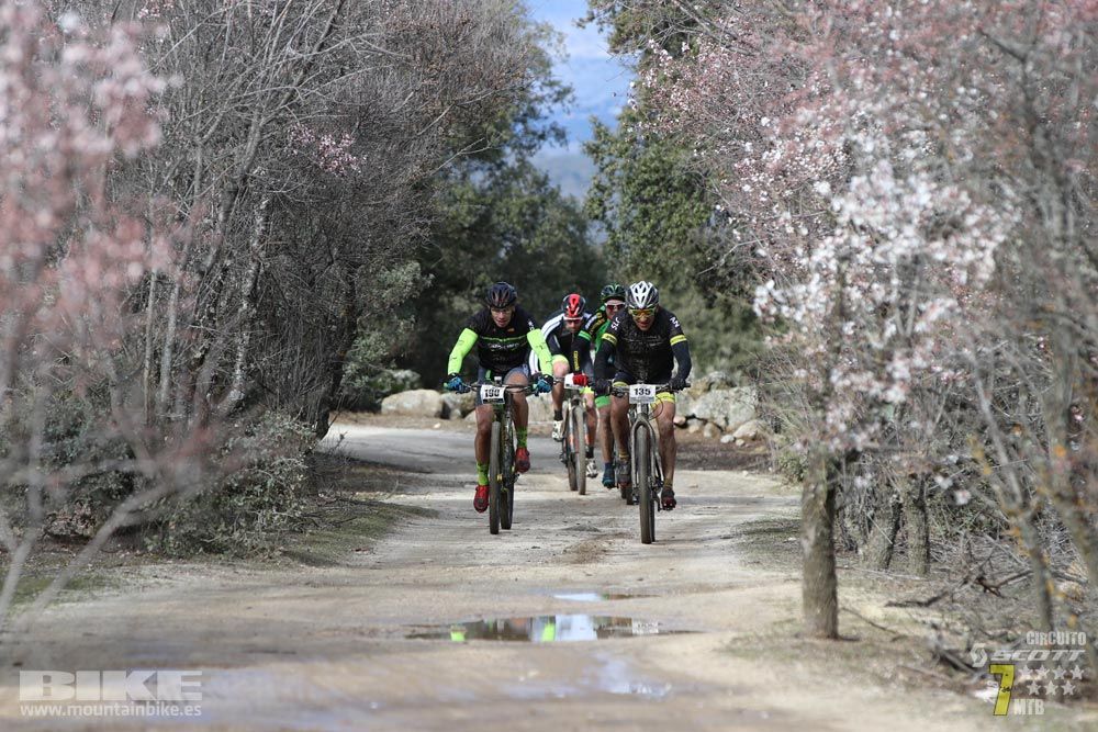 Ruta de la miel. Colmenarejo. Circuito Scott 7 Estrellas 2018. Galería 1