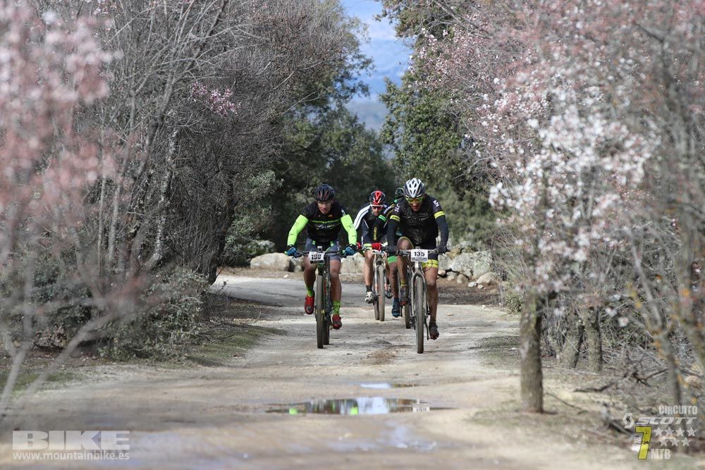 Ruta de la miel. Colmenarejo. Circuito Scott 7 Estrellas 2018. Galería 1