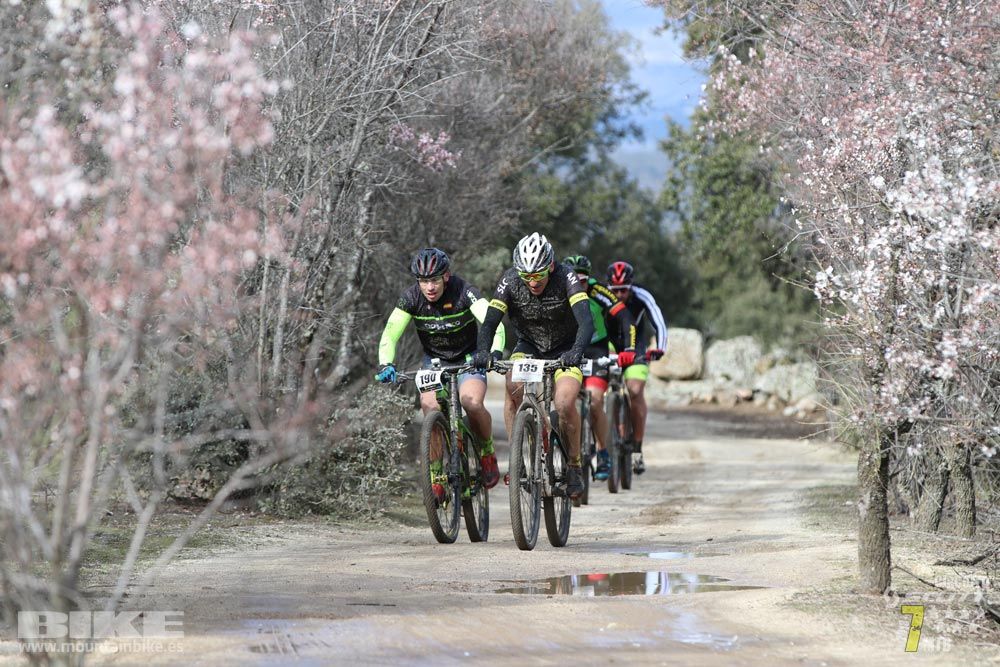 Ruta de la miel. Colmenarejo. Circuito Scott 7 Estrellas 2018. Galería 1