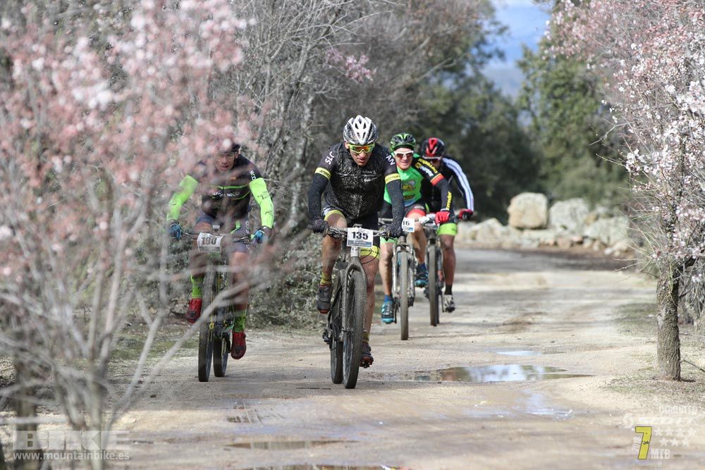 Ruta de la miel. Colmenarejo. Circuito Scott 7 Estrellas 2018. Galería 1