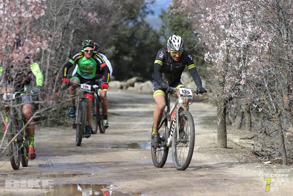 Ruta de la miel. Colmenarejo. Circuito Scott 7 Estrellas 2018. Galería 1