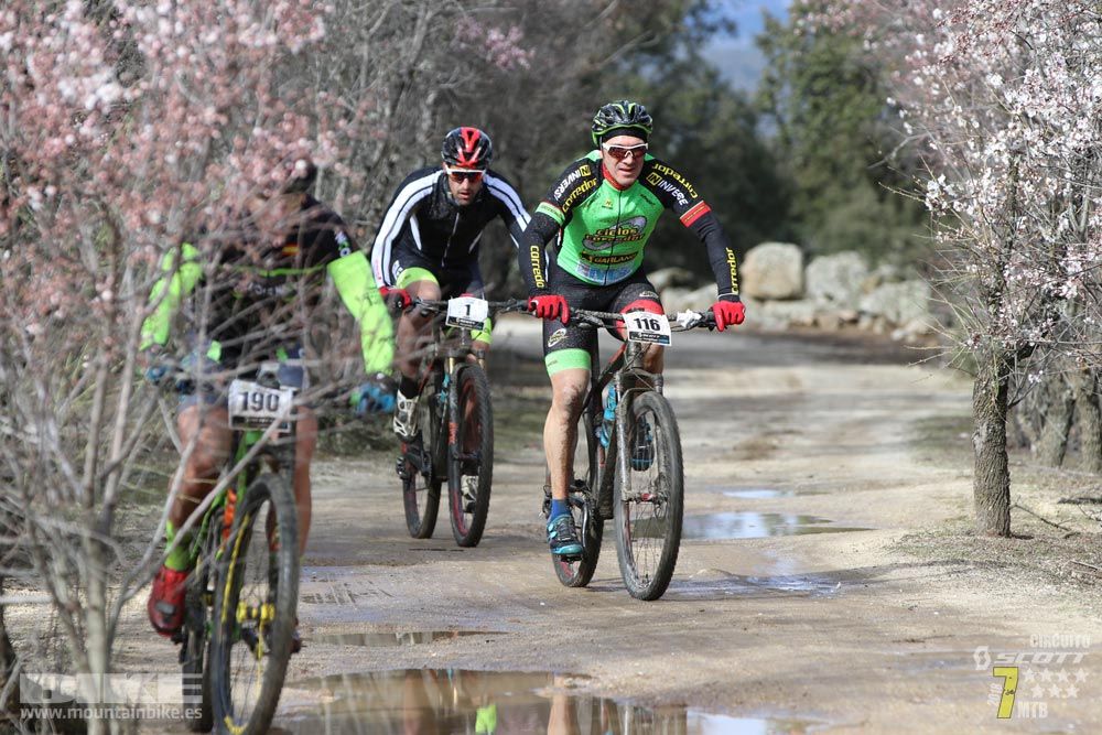 Ruta de la miel. Colmenarejo. Circuito Scott 7 Estrellas 2018. Galería 1