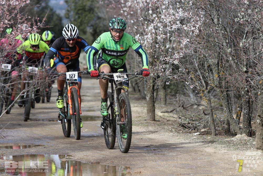 Ruta de la miel. Colmenarejo. Circuito Scott 7 Estrellas 2018. Galería 1