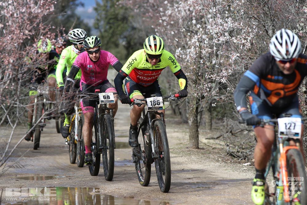Ruta de la miel. Colmenarejo. Circuito Scott 7 Estrellas 2018. Galería 1