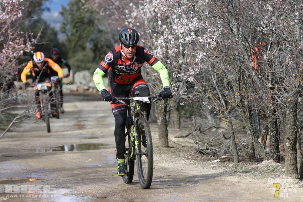 Ruta de la miel. Colmenarejo. Circuito Scott 7 Estrellas 2018. Galería 1