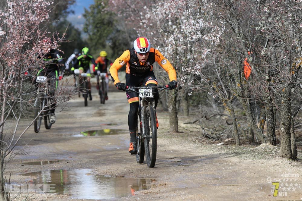 Ruta de la miel. Colmenarejo. Circuito Scott 7 Estrellas 2018. Galería 1