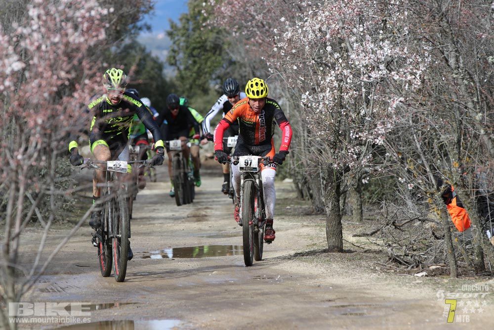 Ruta de la miel. Colmenarejo. Circuito Scott 7 Estrellas 2018. Galería 1