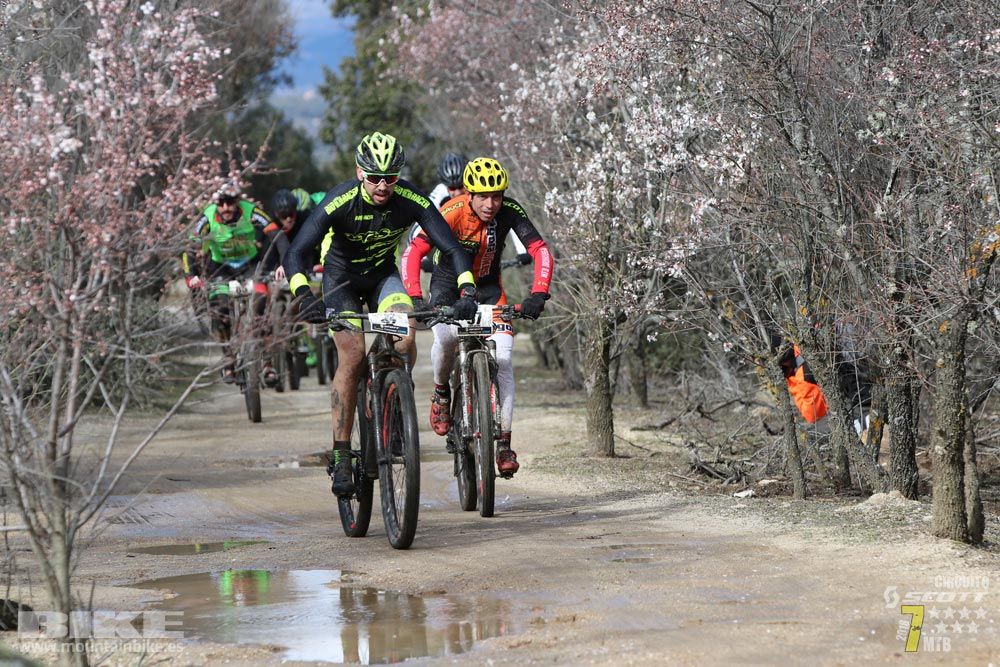 Ruta de la miel. Colmenarejo. Circuito Scott 7 Estrellas 2018. Galería 1