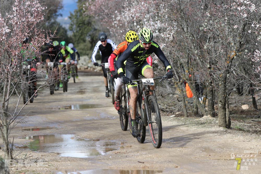 Ruta de la miel. Colmenarejo. Circuito Scott 7 Estrellas 2018. Galería 1