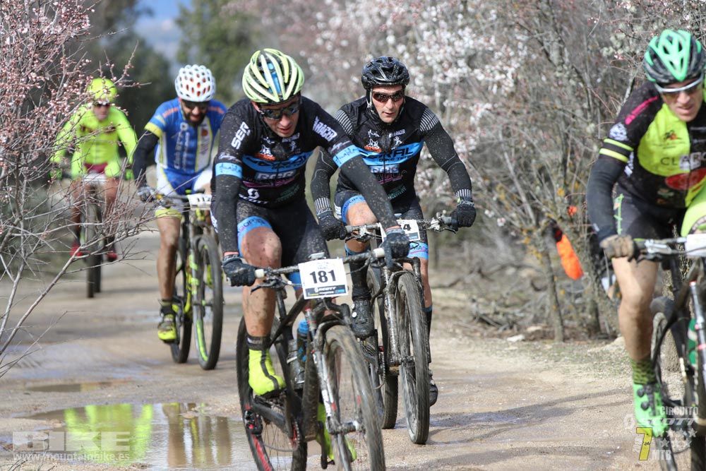 Ruta de la miel. Colmenarejo. Circuito Scott 7 Estrellas 2018. Galería 1