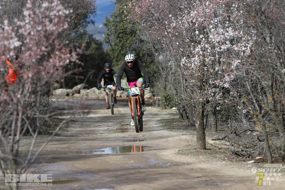 Ruta de la miel. Colmenarejo. Circuito Scott 7 Estrellas 2018. Galería 1