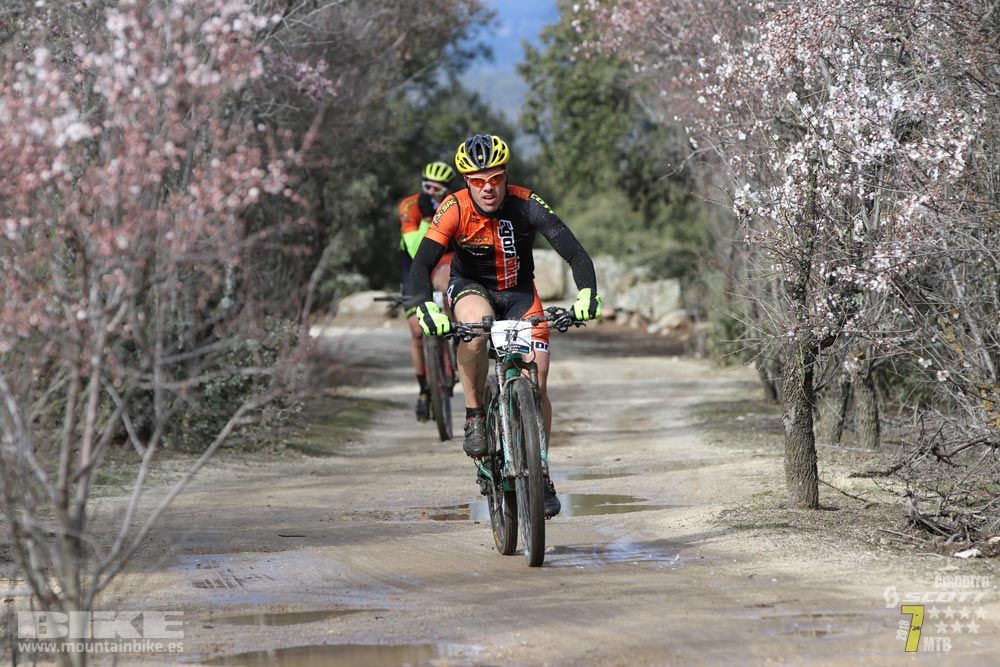 Ruta de la miel. Colmenarejo. Circuito Scott 7 Estrellas 2018. Galería 1
