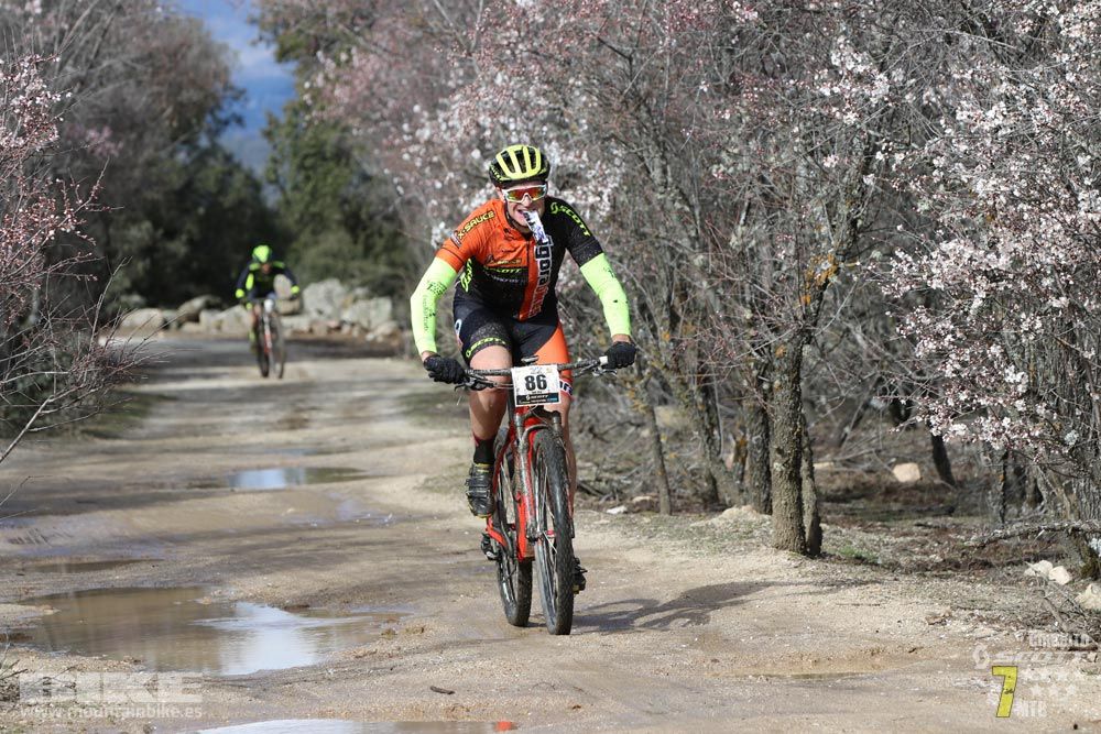 Ruta de la miel. Colmenarejo. Circuito Scott 7 Estrellas 2018. Galería 1