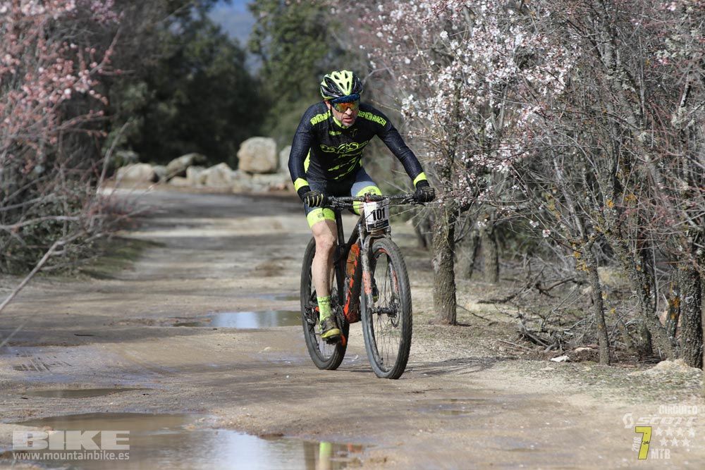 Ruta de la miel. Colmenarejo. Circuito Scott 7 Estrellas 2018. Galería 1