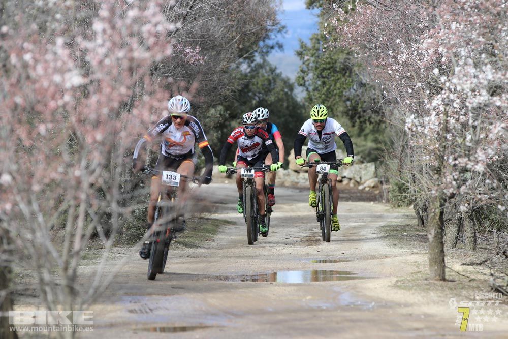Ruta de la miel. Colmenarejo. Circuito Scott 7 Estrellas 2018. Galería 1