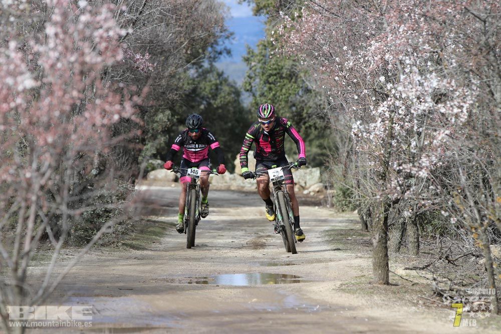 Ruta de la miel. Colmenarejo. Circuito Scott 7 Estrellas 2018. Galería 1