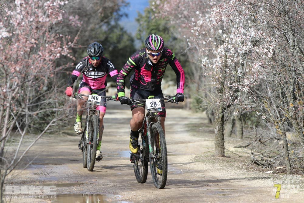 Ruta de la miel. Colmenarejo. Circuito Scott 7 Estrellas 2018. Galería 1