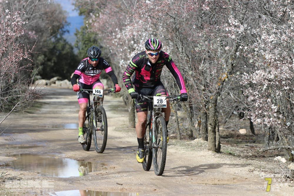 Ruta de la miel. Colmenarejo. Circuito Scott 7 Estrellas 2018. Galería 1