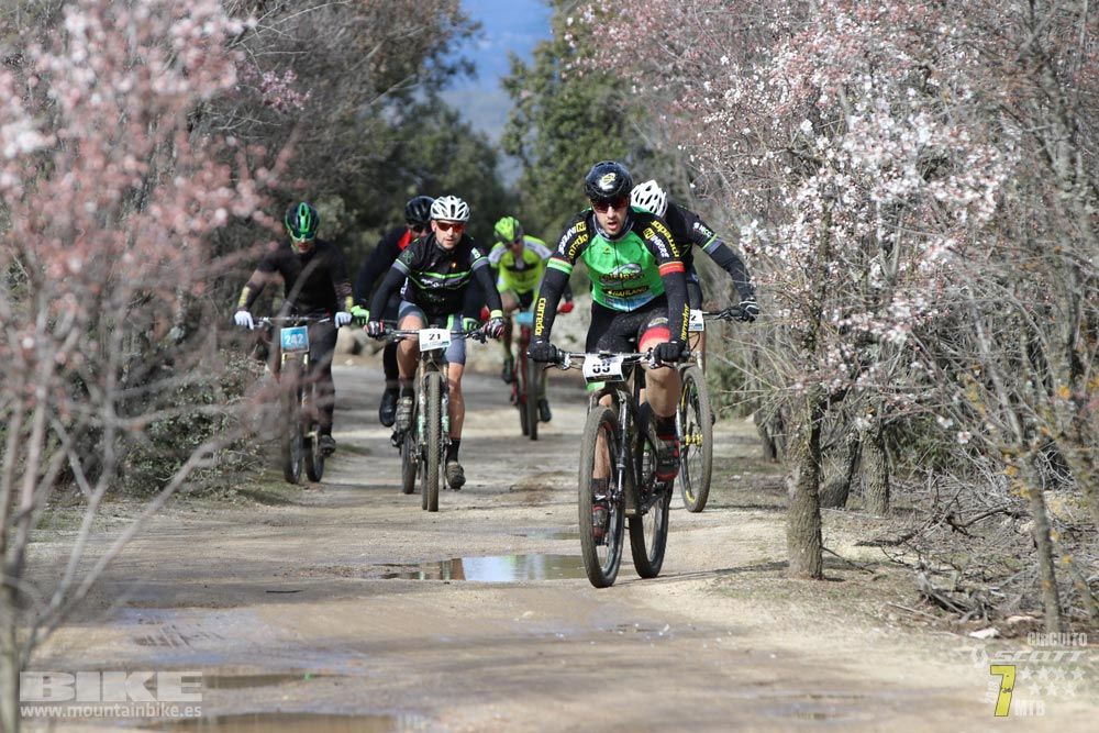 Ruta de la miel. Colmenarejo. Circuito Scott 7 Estrellas 2018. Galería 1