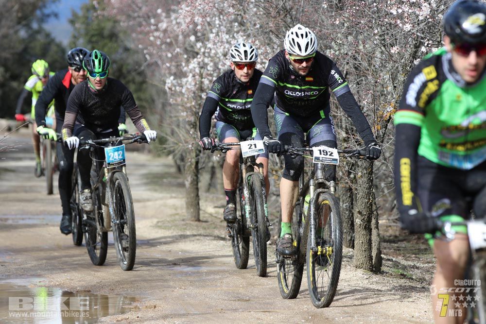 Ruta de la miel. Colmenarejo. Circuito Scott 7 Estrellas 2018. Galería 1