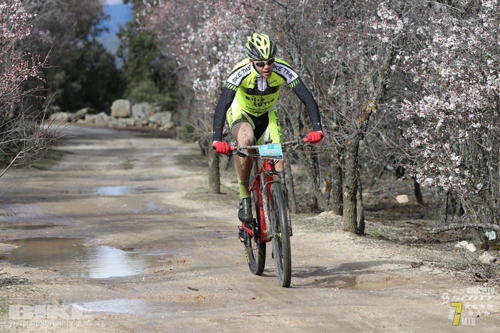 Ruta de la miel. Colmenarejo. Circuito Scott 7 Estrellas 2018. Galería 1